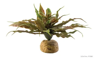 Exo Terra Plante Star Cactus PT2982