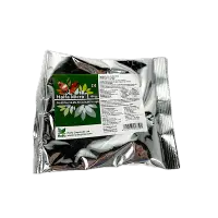 Haifa Micro Fe 13% 100 gr, ingrasamant cu fier micro-chelat - Default Title