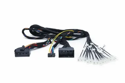 Cablu Plug&Play AFBMW REAMP 3