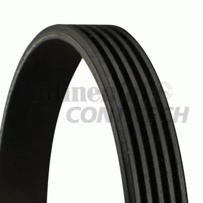 Curea transmisie cu caneluri CONTITECH 5PK800