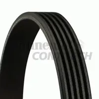 Curea transmisie cu caneluri CONTITECH 5PK875