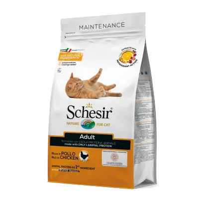 Hrana uscata pisici, Schesir Cat Maintenance Chicken, 10 kg
