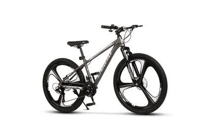 Bicicletă MTB semi-rigidă Evolution 21v Gri/Argintiu