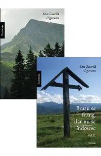Pachet 2 volume: Brazii se frang dar nu se indoiesc