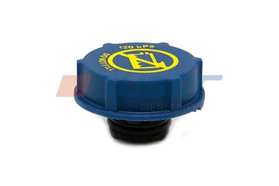 Buson vas expansiune potrivit RVI C, K, T; VOLVO 7900, 8900, 9700, 9900, B11, FH II, FH16 II D11A-370-DXi13520 09.11