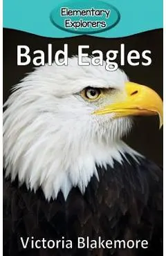 Bald Eagles