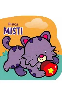 Pisica Misti