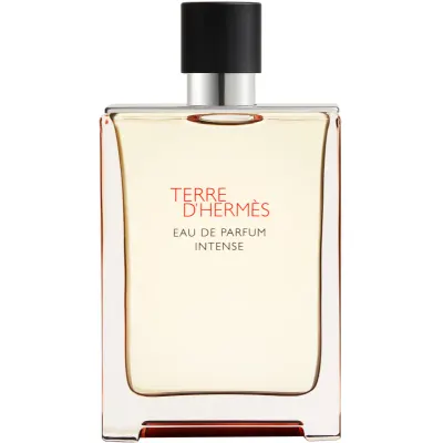 HERMÈS Terre d’Hermès Eau de Parfum Intense apă parfumată intense pentru bărbați 175 ml