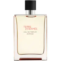HERMÈS Terre d’Hermès Eau de Parfum Intense apă parfumată intense pentru bărbați 175 ml