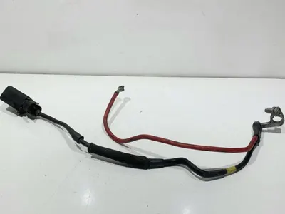Borna baterie plus 1K0971228AA Volkswagen Passat B7 (2010-2014) 1.6 tdi CAY