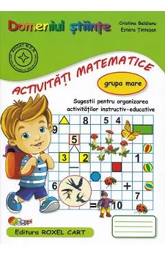Domeniul stiinte. Activitati matematice - Grupa mare