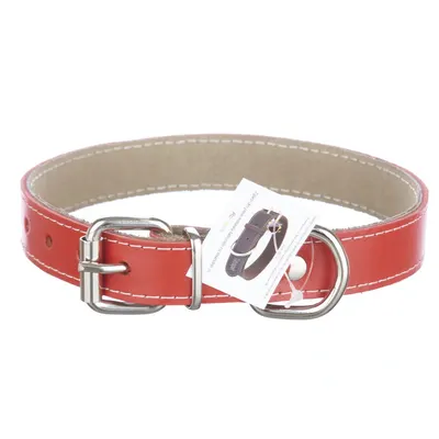 Zgarda din piele, rosie, pentru caini de talie mica si medie, 2,3 cm x 50 cm