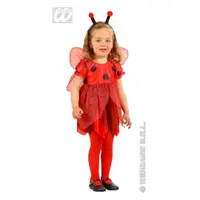 Costum carnaval copii - Mica Buburuza