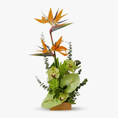 Un cadou exotic - Flori business