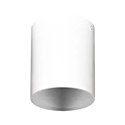 Ceiling luminaire Polasso Pro round 35W white IP20