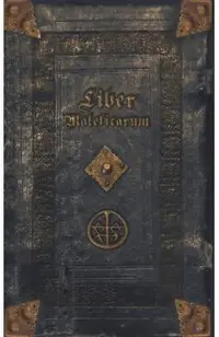 Liber Maleficarum: The mysterious diary of an unknown witch