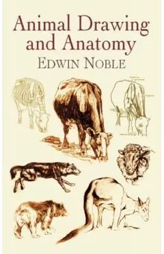 Animal Drawing and Anatomy