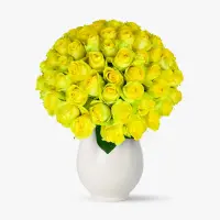 Buchet de 55 trandafiri galbeni
