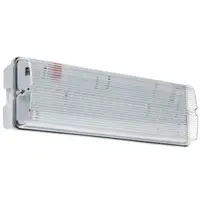 Corp iluminat de siguranta permanent cu Led autonomie 3h Arelux AW10LEDM