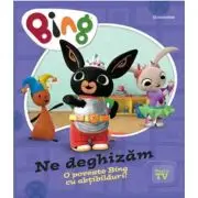 Bing - Ne deghizam