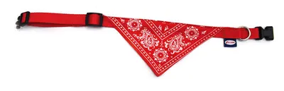 Zgarda nylon cu bandana, rosie, reglabila, 35-50 cm x 1.9 cm
