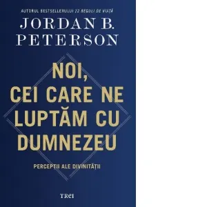 Noi, cei care ne luptam cu Dumnezeu. Perceptii ale divinitatii