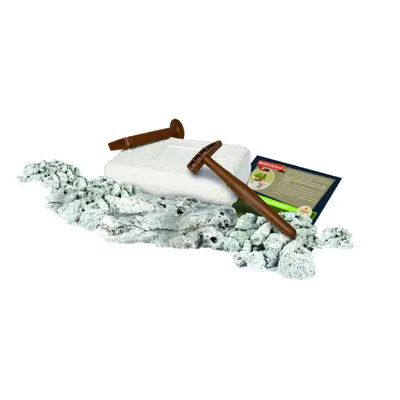 Set - Tiranozaurul Rex