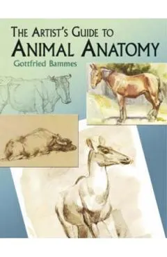 The Artist's Guide to Animal Anatomy