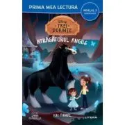 Disney. Trei dorinte. Atragatorul Angus (Nivelul 3 Miniroman)