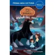 Disney. Trei dorinte. Atragatorul Angus (Nivelul 3 Miniroman)