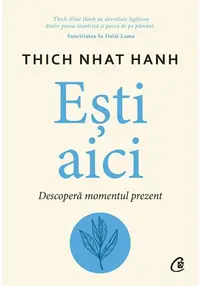 Esti aici. Descopera momentul prezent