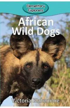 African Wild Dogs