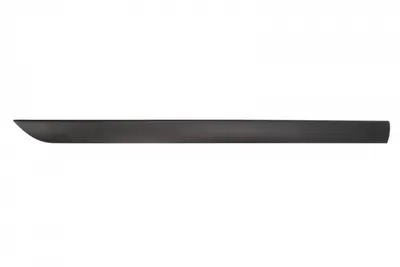 Bandou pentru usa fata stanga FORD FOCUS 4 5 usi intre 1998-2004