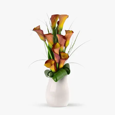 Buchet de 9 cale portocalii