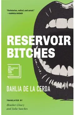 Reservoir Bitches: Stories