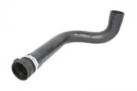 Furtun radiator (cu paranteze de montaj, 57mm, lungime: 530mm) potrivit IVECO STRALIS I F2BE0641-F2BE3681C 06.03