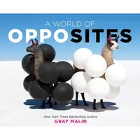 A World of Opposites A Picture Book