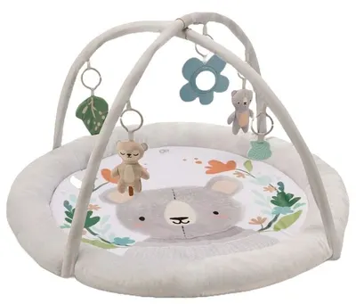 Gimnastică activă KinderKraft - Cozyplay, Koala