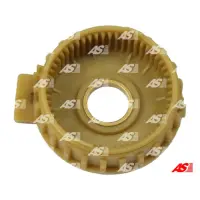 As-Pl Sg3011