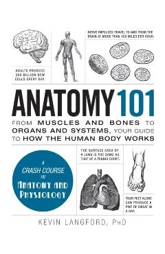 Anatomy 101: From Muscles and Bones to Organs and Systems, Your Guide to How the Human Body Works