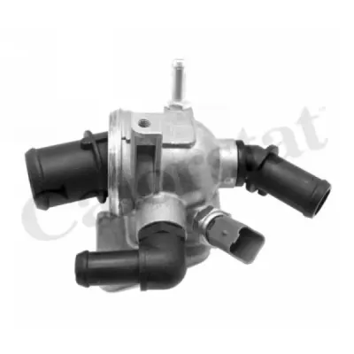 Termostat, lichid racire CALORSTAT by Vernet TH6981.88J