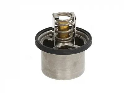 Termostat lichid racire (82 C, cu garnitura) potrivit DAF 75, 75 CF, 85 CF, 95 XF, CF 75, CF 85, XF 105, XF 95; MAN TGS I, TGX I; RVI KERAX, MAGNUM, PREMIUM; VOLVO 7700, 8700, A, B12 D10A320-XF355M