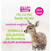 Pic cu pic învăț de mic