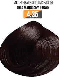 Vopsea Profesionala Fara Amoniac EVOQUE USA, Nuanta 4.35 GOLD MAHOGANI BROWN - Cu Ulei de Argan si 12 Aminoacizi, 100 ml - Evoque