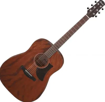 Chitara acustica Ibanez - AAD140, Open Pore Natural