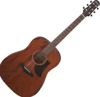 Chitara acustica Ibanez - AAD140, Open Pore Natural