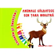 Coloram si invatam! Animale salbatice din tara noastra
