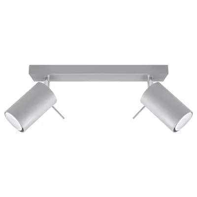 Corp de iluminat pentru tavan RING 2 gri