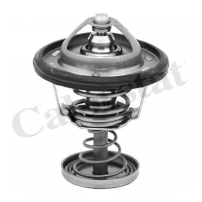 Termostat, lichid racire CALORSTAT by Vernet TH6950.82J