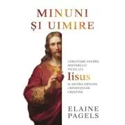 Minuni si uimire. Cercetare asupra misterului vietii lui Iisus si asupra originii credintelor crestine